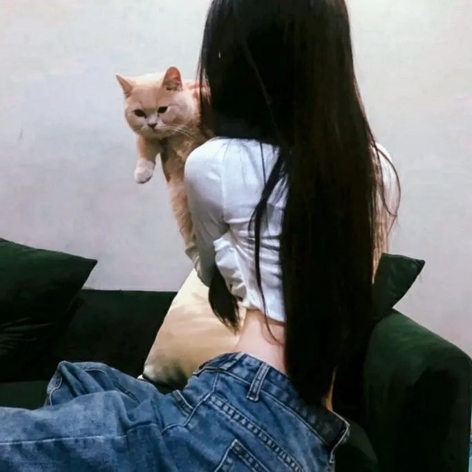 美丽的约定